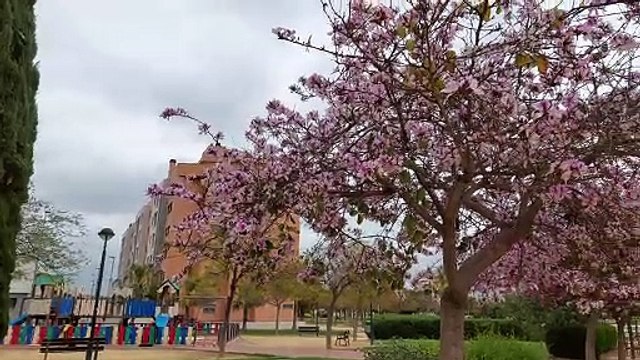 Muestra Samsung Galaxy A52 5G sin estabilizar