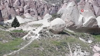 Ünlü botanikçi Kapadokya'da yeni bitki keşfetti