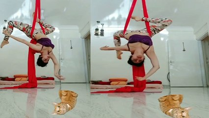 Adah Sharma के Fitness का ये है राज़, रोज़ करती हैं Aerial Yoga; Watch Video | FilmiBeat