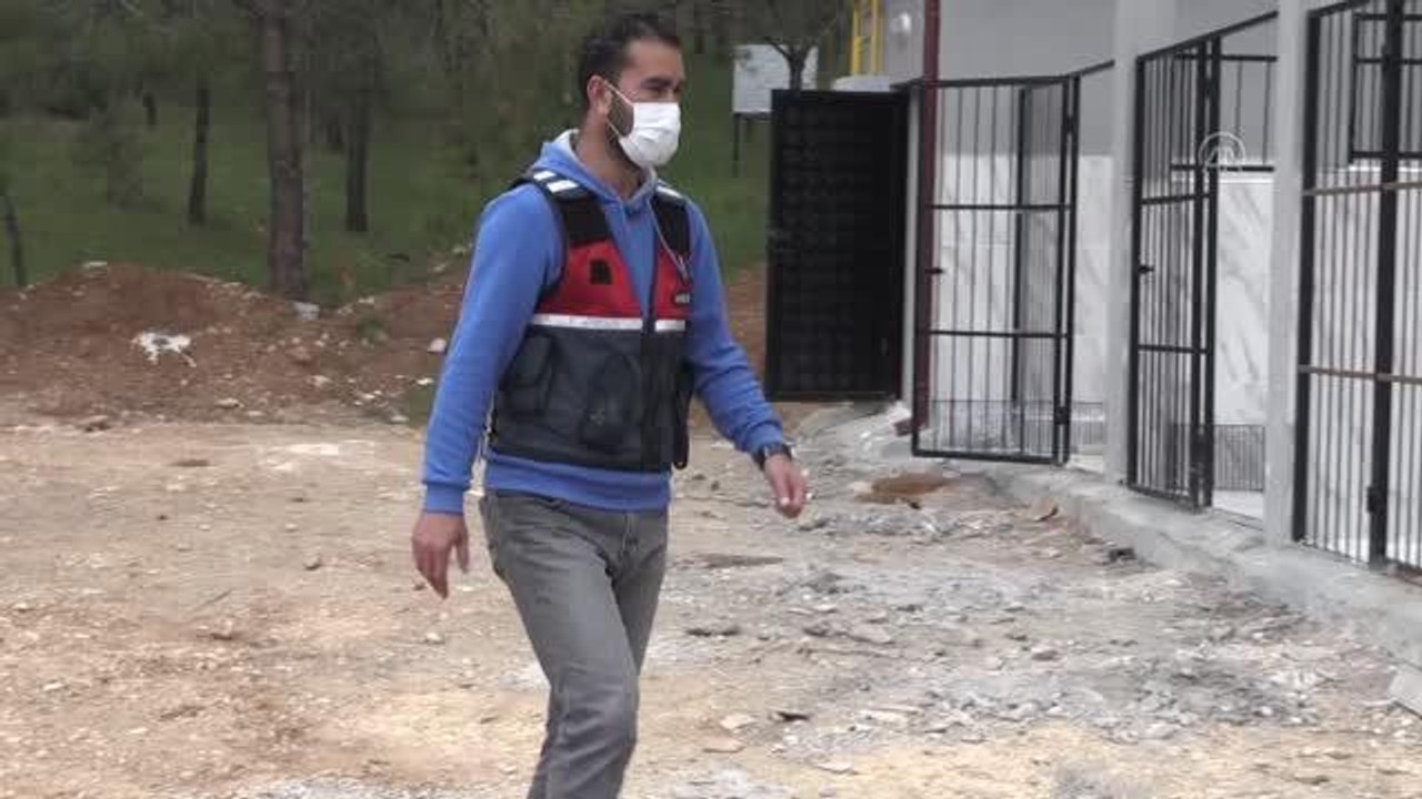 Narkotik dedektör köpeği "Manken" jandarmanın en büyük yardımcısı