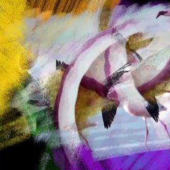 Explained: India's Double Mutant Virus