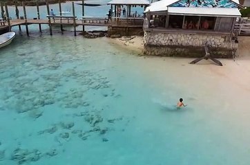 Köpek balıkları küçük çocuğu yemek için toplandı!