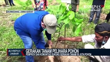 Download Video: Gerakan Tanam dan Pelihara Pohon