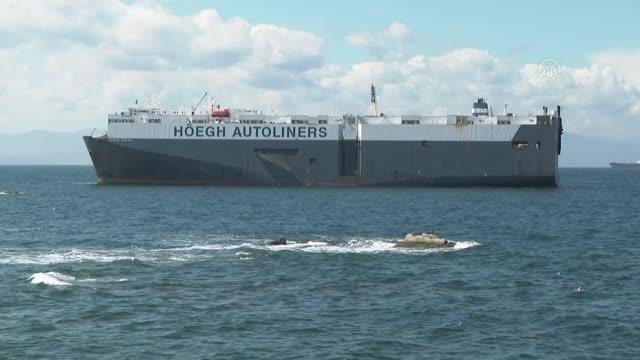 Tuzla'da bir gemi karaya oturdu (2)