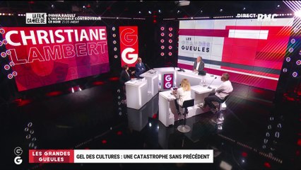 Le Grand Oral de Christiane Lambert, présidente de la FNSEA - 20/04