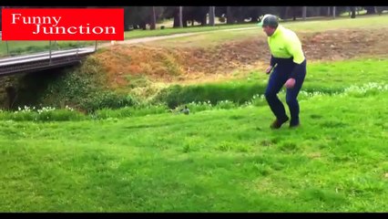 Must Watch New Funny Video | Cat funny video | Animals Fun