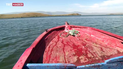 Çıldır Gölü'nde balıkçıların av mesaisi başladı