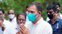 Rahul Gandhi tests positive for Covid-19