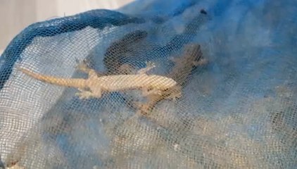 เรื่องพลบค่ำ ช่วงที่ 1 วันอังคารที่ 20 เม.ย.64