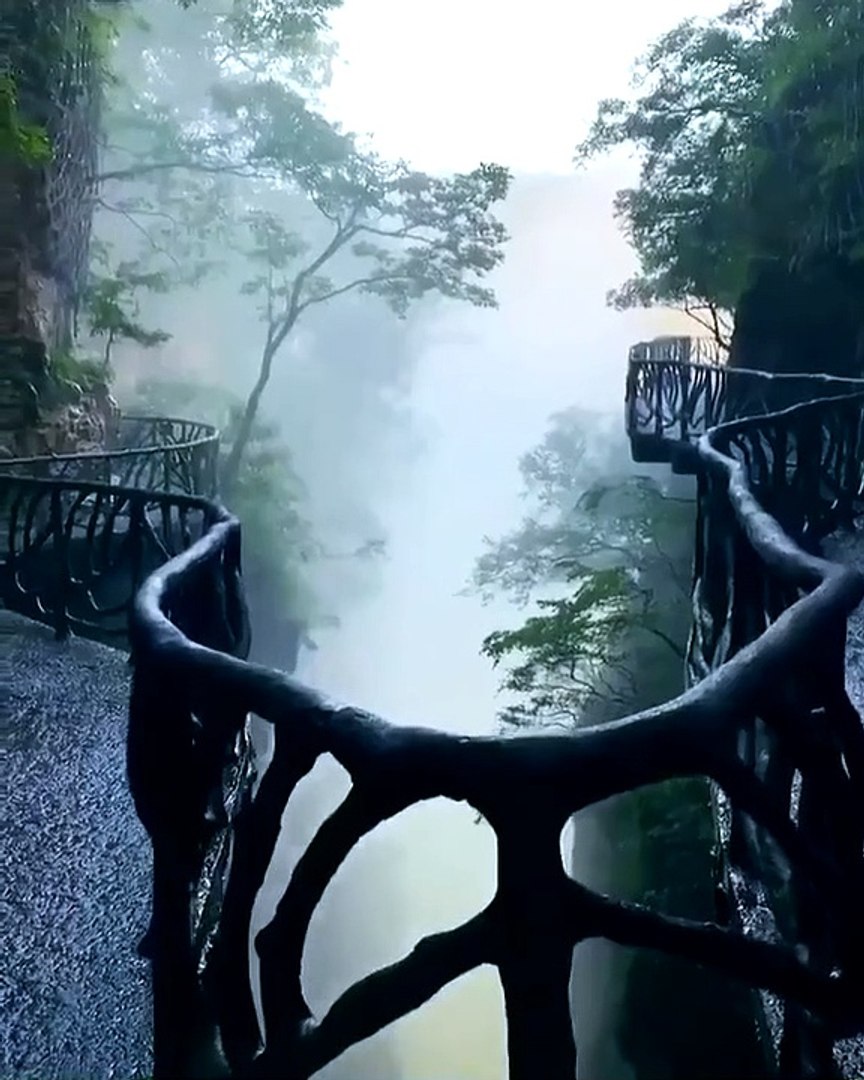 Best videos, Top videos, Viral videos Funny videos no. 140