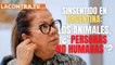 Proyecto de ley en Argentina para que los animales sean "personas no humanas"