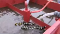 [영상구성] 전국 곳곳 日 정부 규탄