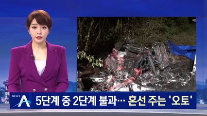 테슬라 5단계 중 2단계 불과…소비자에 혼선주는 ‘오토’