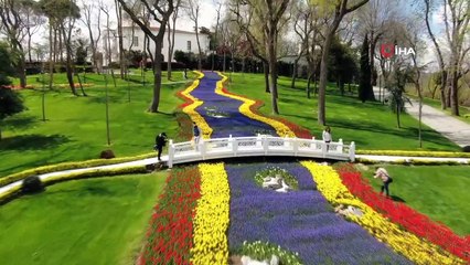 İstanbul'da lale zamanı: 8 milyon lale dikildi