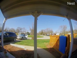 Running Dog Rips Porch Post Right off House