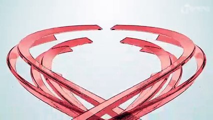 GM de Arapongas encontra cachorro ferido por ouriço