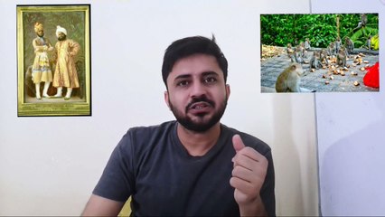 B4u Global Company Fraud _ Scam Exposed _ Sunny Ali Extreme Commerce _ Enablers  Qasim  Ali Shah