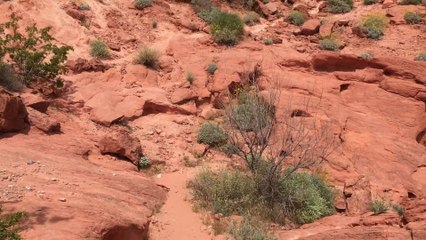 Valley Of Fire Nevada 1