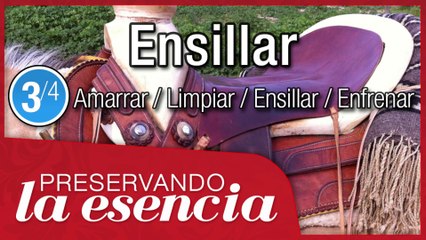 Cómo ensillar y desensillar un caballo con montura vaquera mexicana (charra).