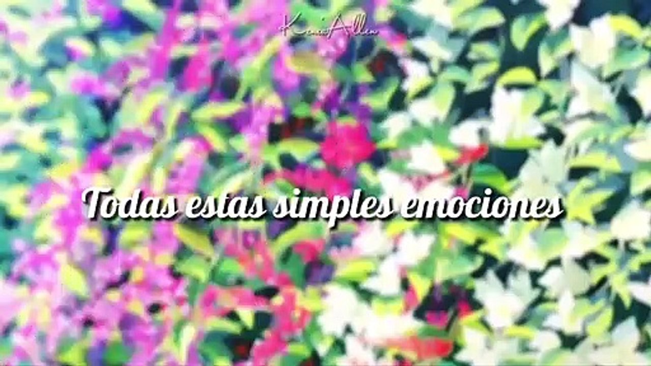 [Amv & Sub Español] Umibe No Étranger// Jungkook (Bts) -“Still With You”