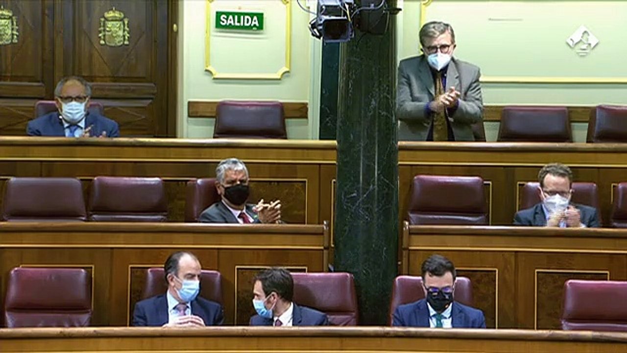 Un diputado de Vox compara los derechos de los animales con la ley del aborto y los derechos trans