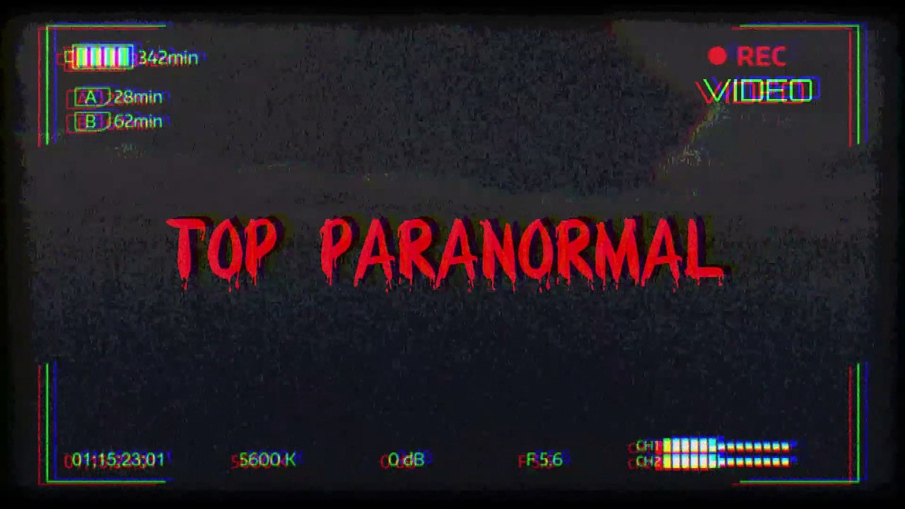 TOP 5 DES VIDEO LES PLUS EFFRAYANTE QUE TU EN DORMIRA PAS DE NUIT