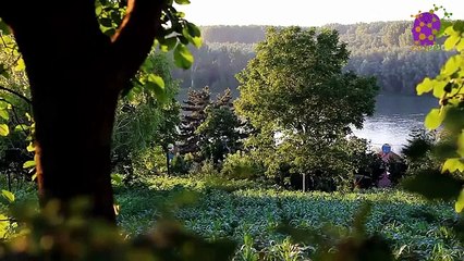 15 Minute Nice Instrumental Music | Positive Energy | Stress-Relief | Anxiety Relief | Study | Sleep | Spa | Focus | Concentration | Mindfulness