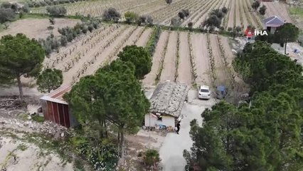 Hayvanlara zarar verenlere kızdı, kaplumbağa ev yaptı