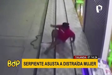 El aterrador momento en que una serpiente se deslizó por piernas de distraída mujer