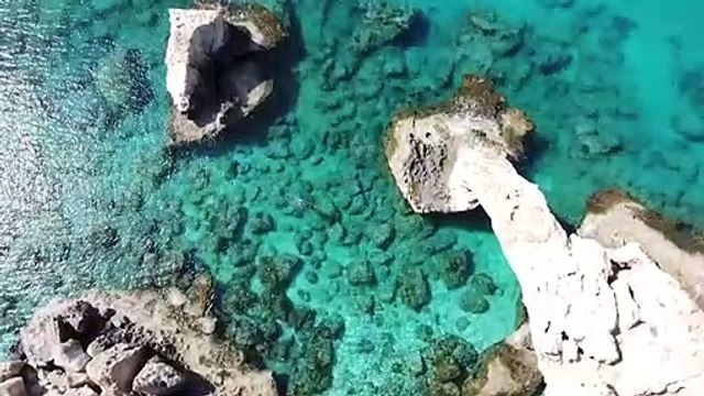 Marine ecologist monitors rising sea temperatures threatening Cyprus corals