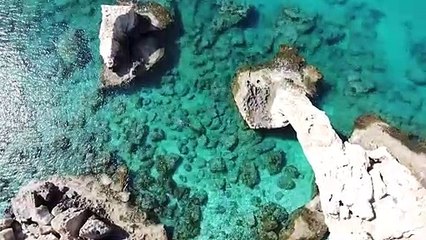 Marine ecologist monitors rising sea temperatures threatening Cyprus corals