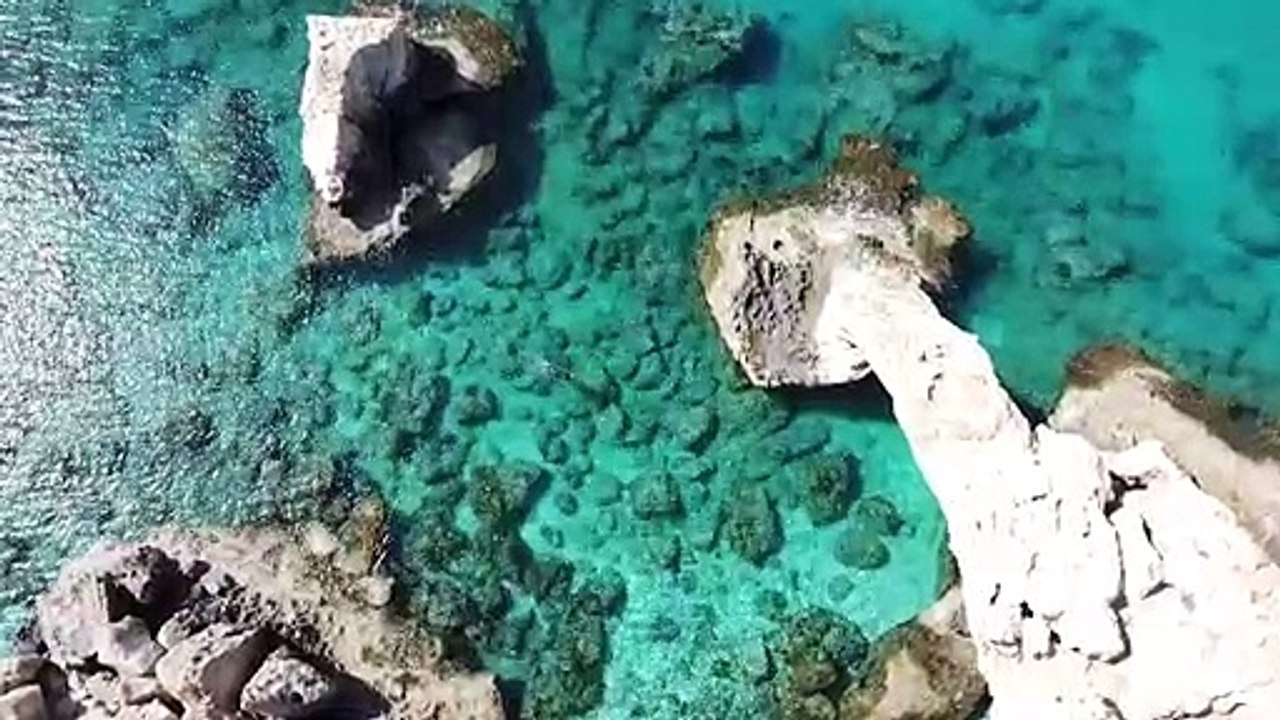 Marine ecologist monitors rising sea temperatures threatening Cyprus corals