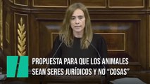El PSOE presenta una propuesta para considerar jurídicamente a los animales como seres vivos y no como 