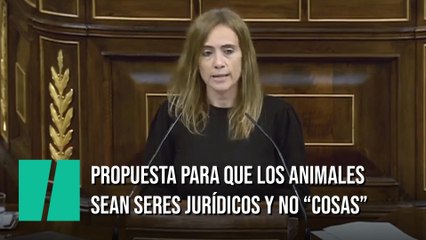 El PSOE presenta una propuesta para considerar jurídicamente a los animales como seres vivos y no como "cosas"