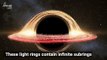 Do Black Holes Contain a ‘Movie’ of the Entire Universe?