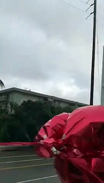 Elle lache des ballons gonflés à l'hélium mais ne s'attendait pas à ça