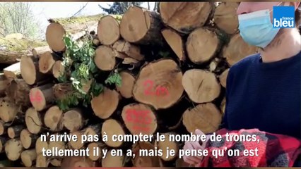 Des habitants de Saint-Berthevin demande des explications après des dégâts dans la forêt de Coupeau