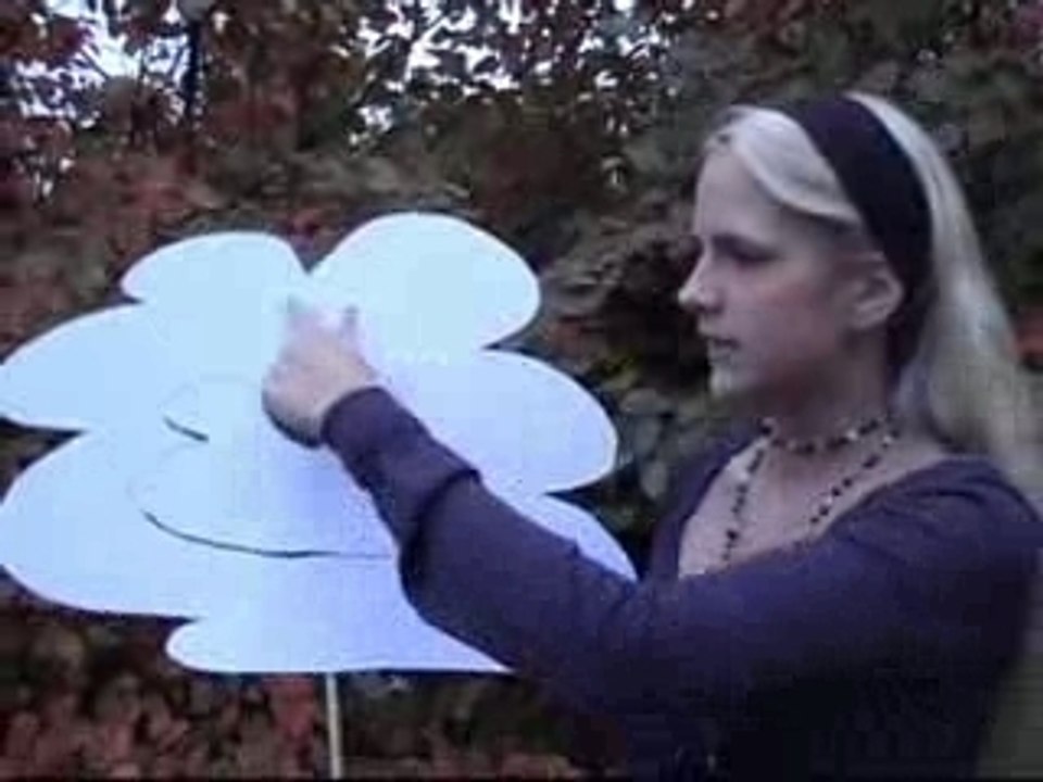 Folge 5: Was ist das Intranet?