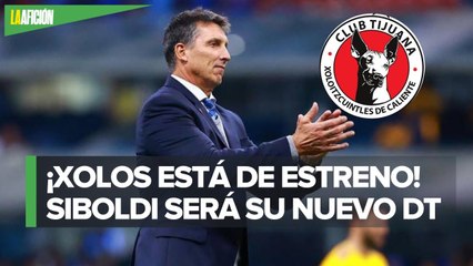 Robert Dante Siboldi es nuevo entrenador de Xolos