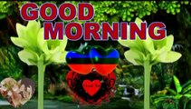 Good morning love status | good morning wishes | morning song | morning video | morning status | messages | photos