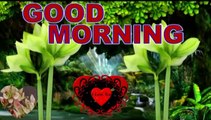 Good morning | we can learn to love only by loving | love status | wishes | videos | messages | quotes | images | photos | wishes
