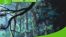 Mushishi Anime Review - Animeeveryday Anime Reviews