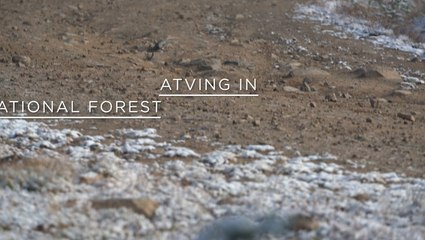 Emily DiDonato ATV Adventure in Medicine Bow National Forest