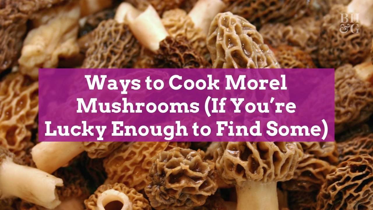 Ways to Cook Morel Mushrooms (If You're Lucky Enough to Find Some