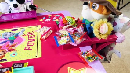 Toy Learning Videos For Kids Paw Patrol Halloween And Home Alone Skits!