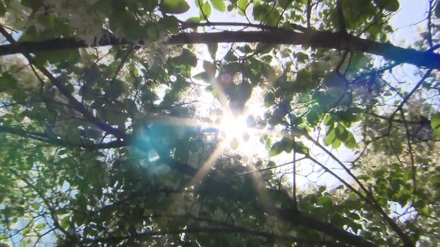 [날씨] 오늘 때 이른 초여름 더위...서울 28℃, 자외선↑ / YTN