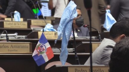 El Congreso dominicano inicia el debate del aborto entre protestas