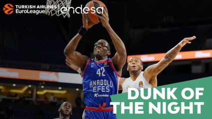 Endesa Dunk of the Night: Bryant Dunston, Anadolu Efes Istanbul
