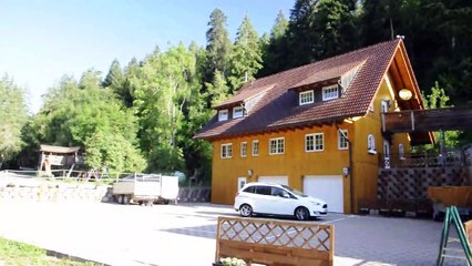 MERC.14-8-19- QUARTO GIORNO DI TREKKING NELLA REGIONE DELLA FORESTA NERA GERMANIA.