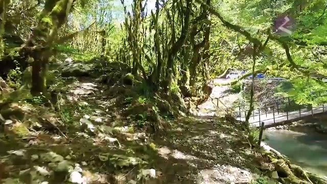 Армяне Абхазии